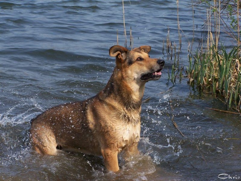 20050416_wochenendspatziergang_am_eichbaumsee_014