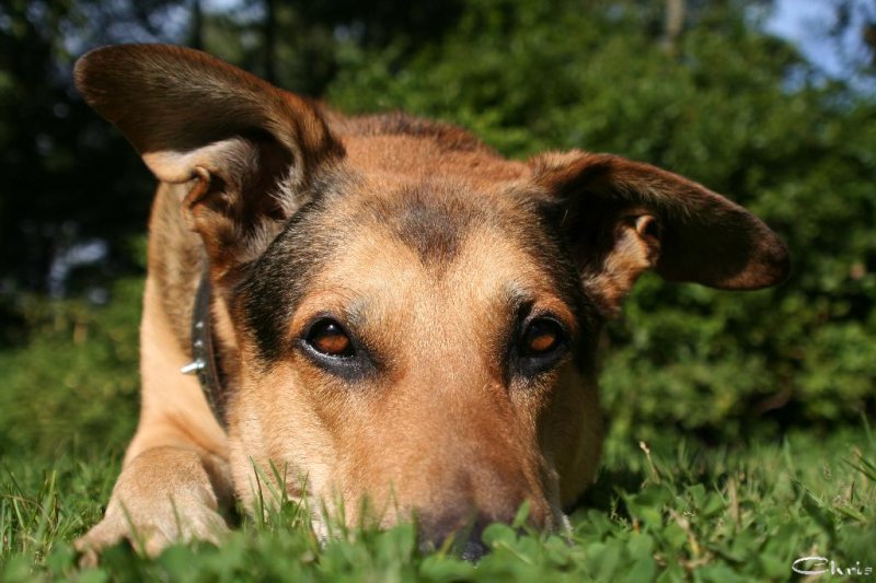 20050913_mit_balou_im_park_libelle_3_041