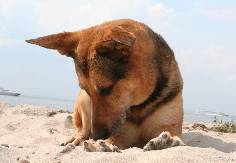 20060730_mein_geburtstag_an_der_ostsee_138
