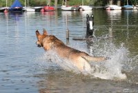 20060701_am_eichbaumsee_034