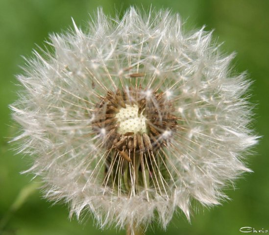 20060605_pfingstmontag_066